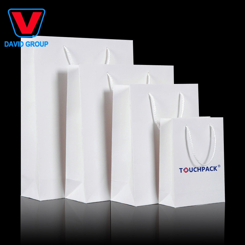 Custom Printing Luxury Apparel Clothes Garment Shoe Packaging Machine Biodegradable Handle Shopping Paper Gift Bags