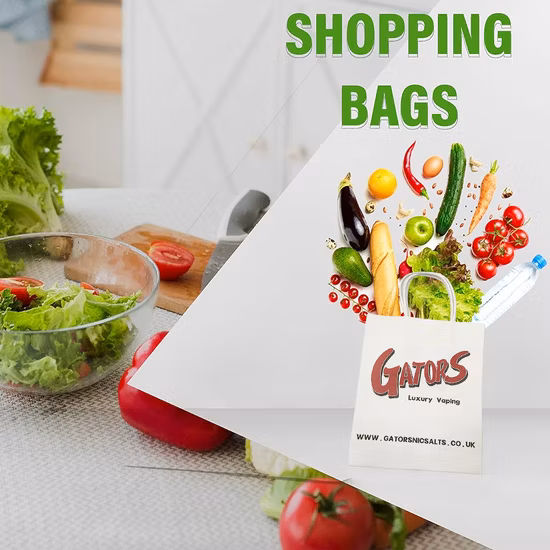 Biodegradable Custom Print Kraft Clothing Packaging Paper Bag with Handle Paper Shopping Bag